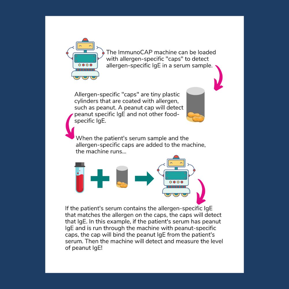 How Food Allergy Blood Testing Works