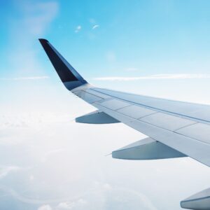Flying and food allergies - airplane wing